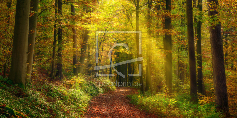 frei wählbarer Bildausschnitt für Ihr Bild auf Tischdecke