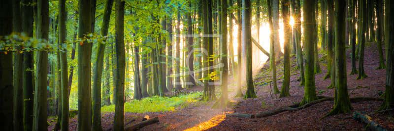 frei wählbarer Bildausschnitt für Ihr Bild auf Tischdecke