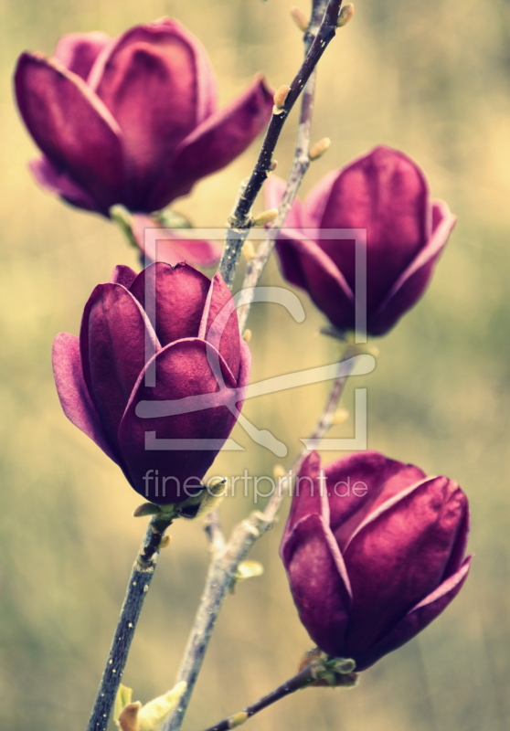 frei w&auml;hlbarer Bildausschnitt f&uuml;r Ihr Bild auf Tischdecke