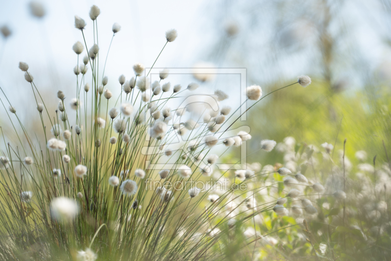 frei w&auml;hlbarer Bildausschnitt f&uuml;r Ihr Bild auf Tischdecke