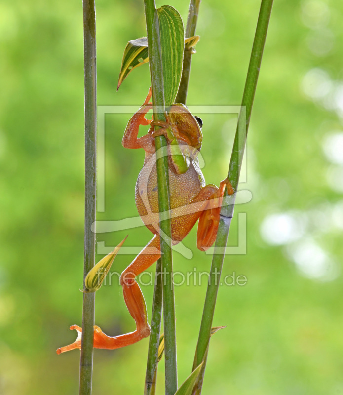 frei w&auml;hlbarer Bildausschnitt f&uuml;r Ihr Bild auf Tischdecke