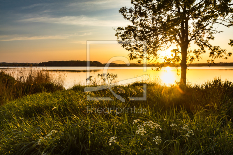 frei w&auml;hlbarer Bildausschnitt f&uuml;r Ihr Bild auf Tischdecke