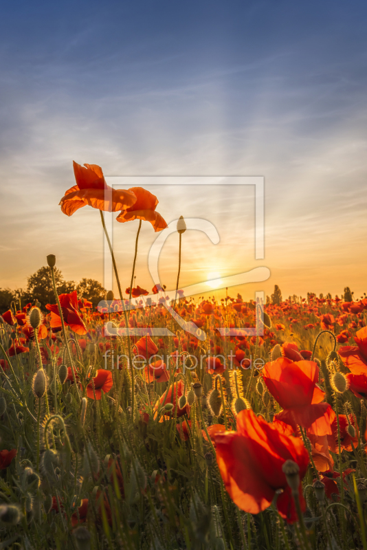 frei w&auml;hlbarer Bildausschnitt f&uuml;r Ihr Bild auf Tischdecke