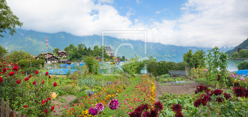 frei w&auml;hlbarer Bildausschnitt f&uuml;r Ihr Bild auf Tischdecke