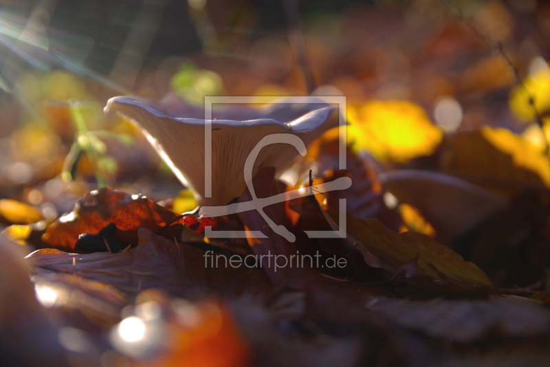 frei w&auml;hlbarer Bildausschnitt f&uuml;r Ihr Bild auf Tischdecke