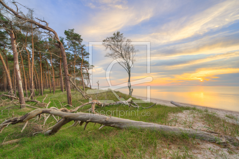 frei w&auml;hlbarer Bildausschnitt f&uuml;r Ihr Bild auf Tischdecke