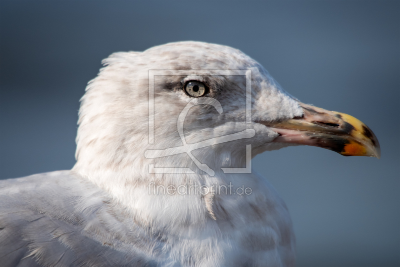 frei w&auml;hlbarer Bildausschnitt f&uuml;r Ihr Bild auf Tischdecke