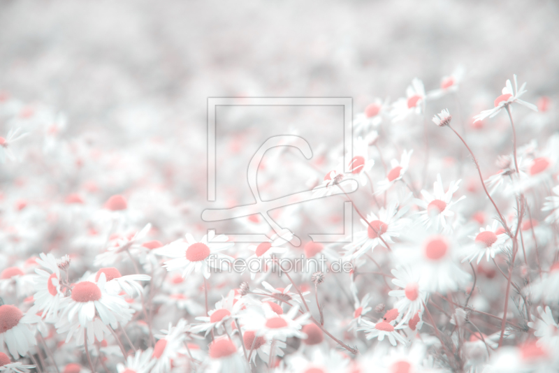 frei w&auml;hlbarer Bildausschnitt f&uuml;r Ihr Bild auf Tischdecke