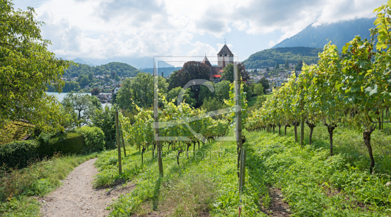 frei w&auml;hlbarer Bildausschnitt f&uuml;r Ihr Bild auf Tischdecke