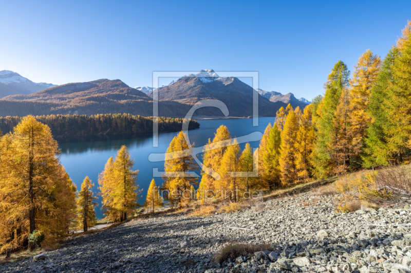 frei w&auml;hlbarer Bildausschnitt f&uuml;r Ihr Bild auf Tischdecke