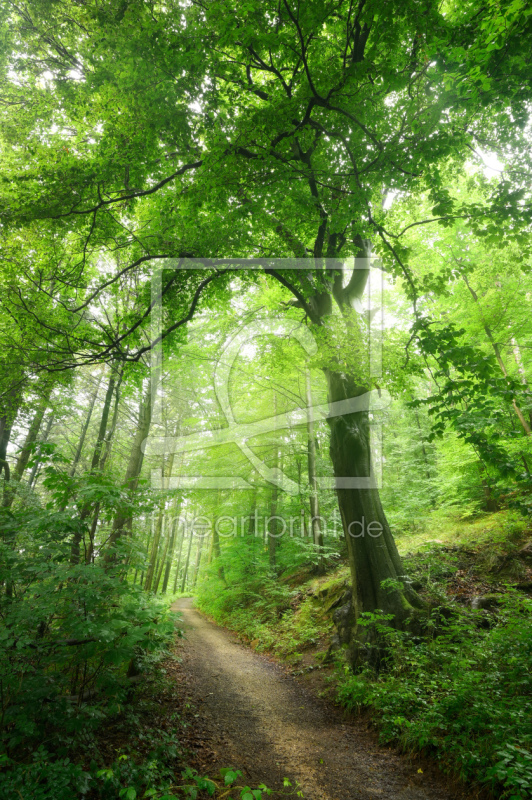 frei wählbarer Bildausschnitt für Ihr Bild auf Tischdecke