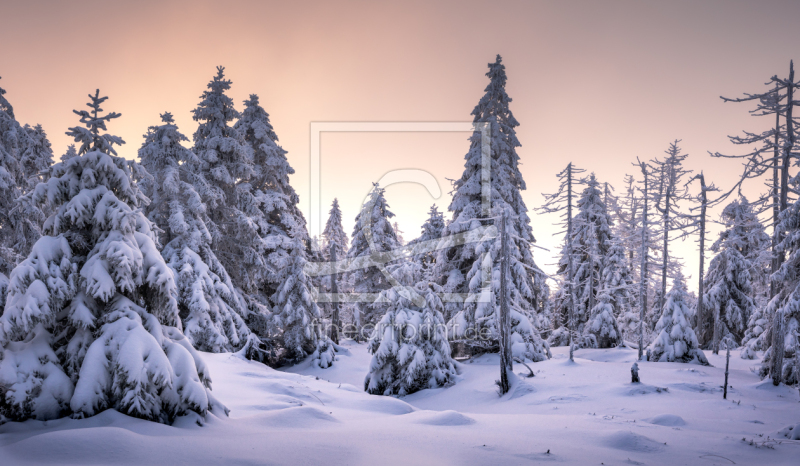 frei w&auml;hlbarer Bildausschnitt f&uuml;r Ihr Bild auf Tischdecke
