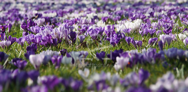 frei w&auml;hlbarer Bildausschnitt f&uuml;r Ihr Bild auf Tischdecke