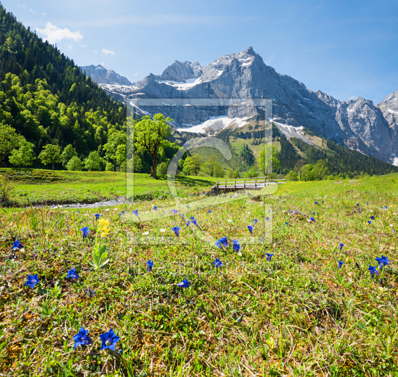frei w&auml;hlbarer Bildausschnitt f&uuml;r Ihr Bild auf Tischdecke