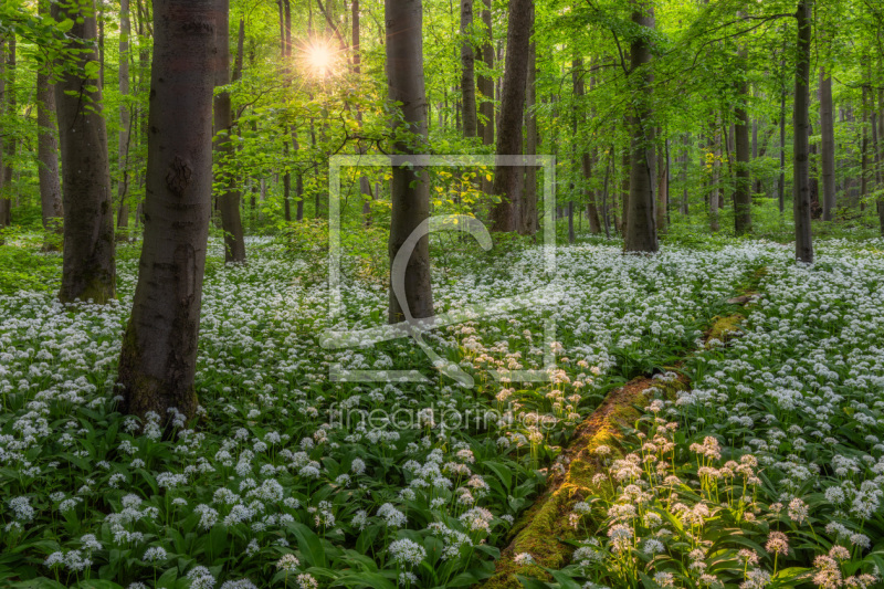 frei w&auml;hlbarer Bildausschnitt f&uuml;r Ihr Bild auf Tischdecke