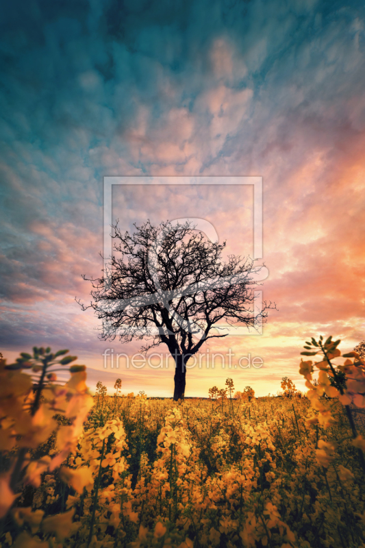 frei wählbarer Bildausschnitt für Ihr Bild auf Tischdecke