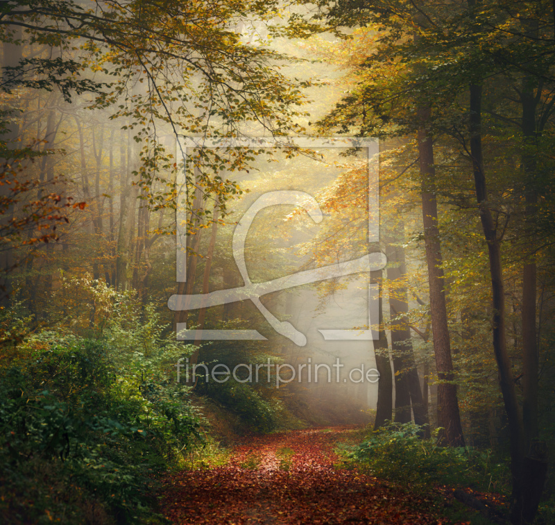 frei w&auml;hlbarer Bildausschnitt f&uuml;r Ihr Bild auf Tischdecke