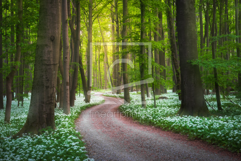 frei wählbarer Bildausschnitt für Ihr Bild auf Tischdecke