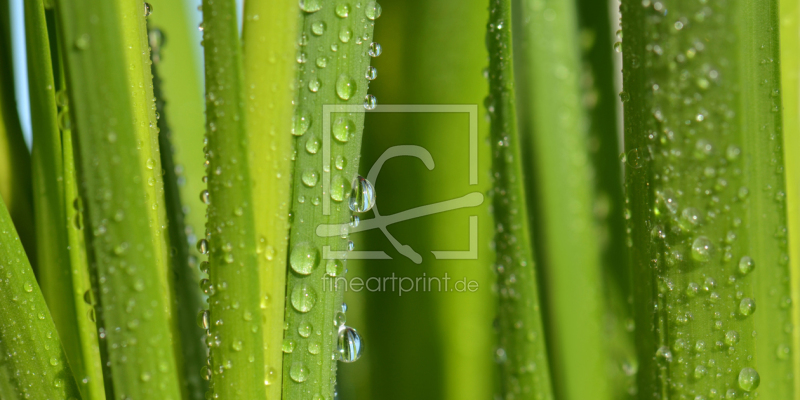 frei w&auml;hlbarer Bildausschnitt f&uuml;r Ihr Bild auf Tischdecke