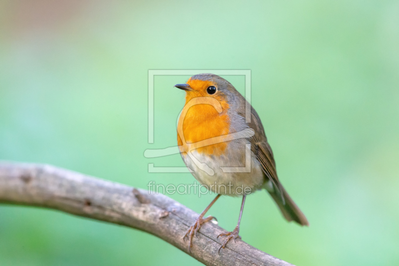 frei w&auml;hlbarer Bildausschnitt f&uuml;r Ihr Bild auf Tischdecke