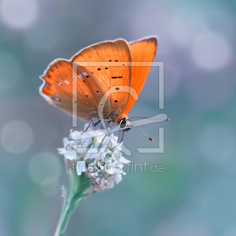 frei w&auml;hlbarer Bildausschnitt f&uuml;r Ihr Bild auf Tischdecke