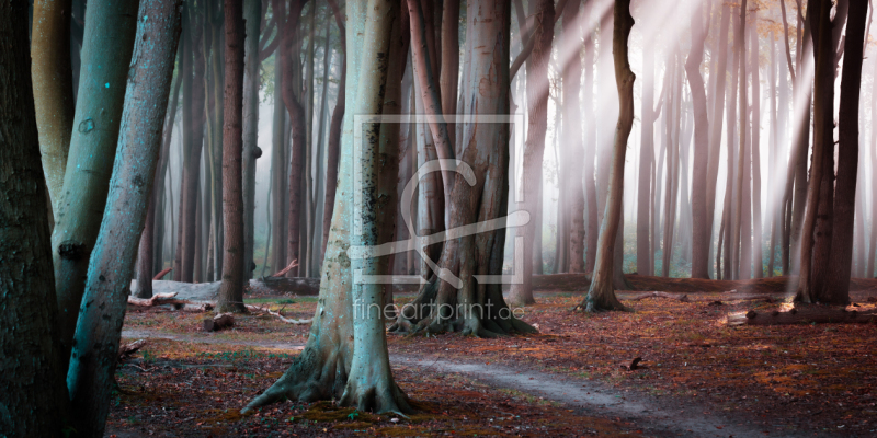 frei w&auml;hlbarer Bildausschnitt f&uuml;r Ihr Bild auf Tischdecke