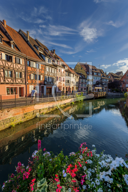 frei w&auml;hlbarer Bildausschnitt f&uuml;r Ihr Bild auf Tischdecke