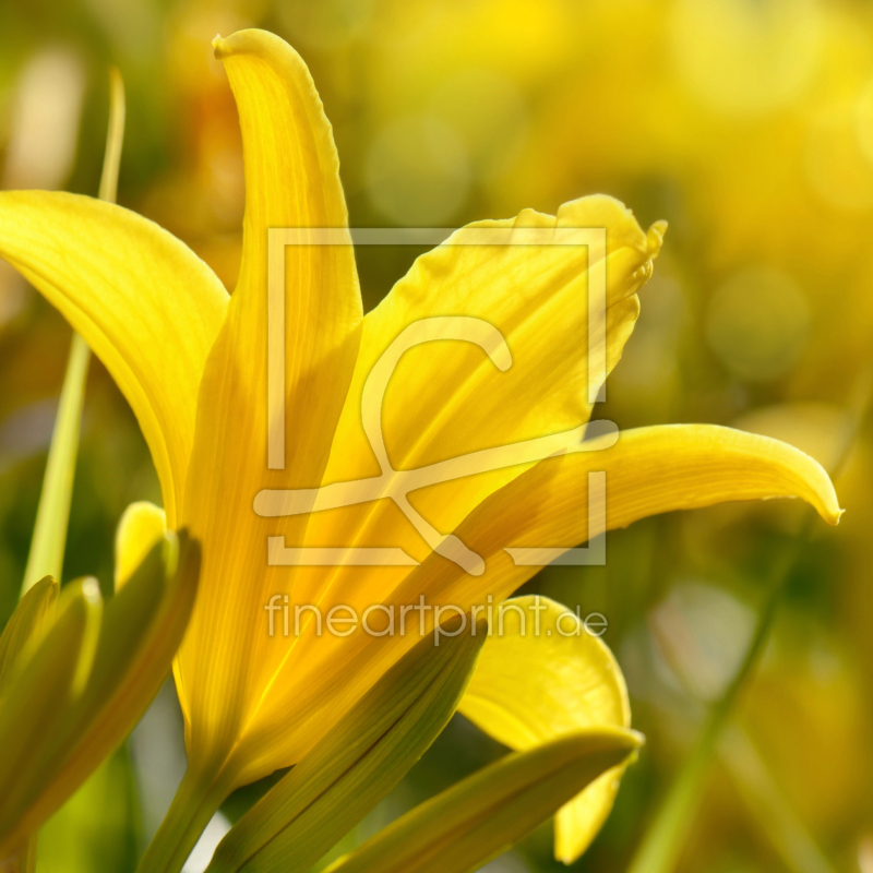 frei wählbarer Bildausschnitt für Ihr Bild auf Tischdecke