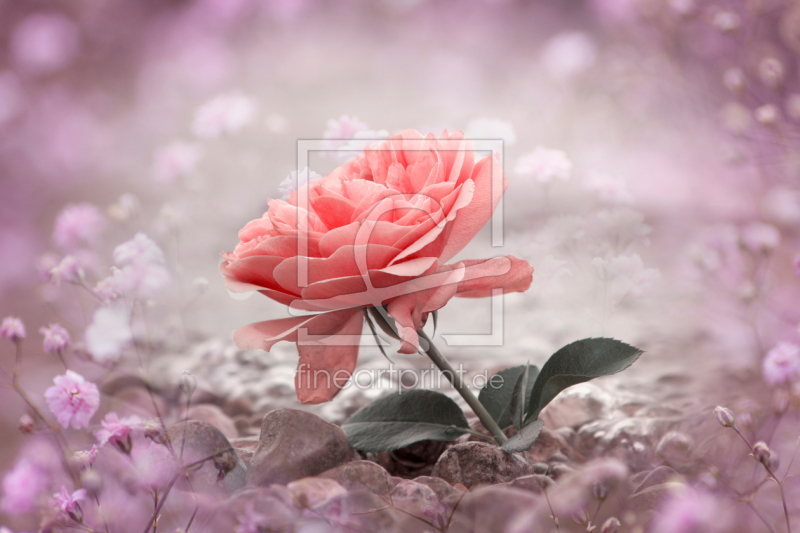 frei w&auml;hlbarer Bildausschnitt f&uuml;r Ihr Bild auf Tischdecke