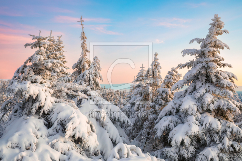 frei w&auml;hlbarer Bildausschnitt f&uuml;r Ihr Bild auf Tischdecke