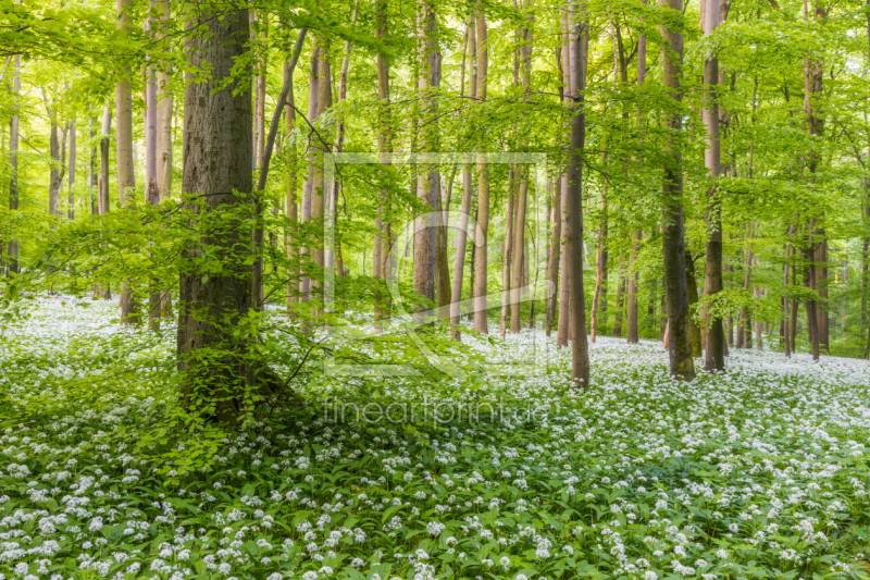 frei w&auml;hlbarer Bildausschnitt f&uuml;r Ihr Bild auf Tischdecke