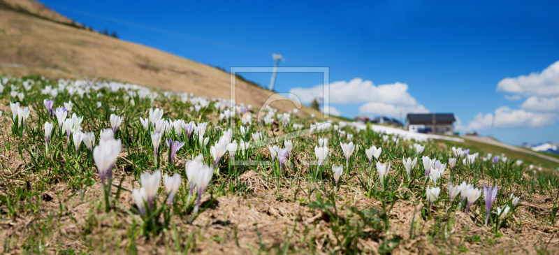 frei w&auml;hlbarer Bildausschnitt f&uuml;r Ihr Bild auf Tischdecke