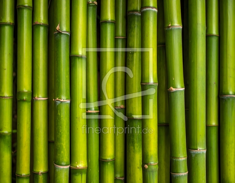 frei w&auml;hlbarer Bildausschnitt f&uuml;r Ihr Bild auf Tischdecke