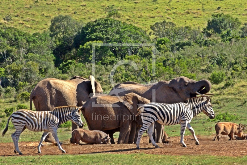 frei w&auml;hlbarer Bildausschnitt f&uuml;r Ihr Bild auf Tischdecke