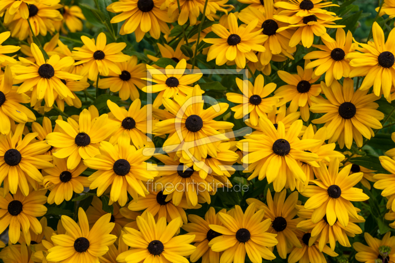 frei w&auml;hlbarer Bildausschnitt f&uuml;r Ihr Bild auf Tischdecke