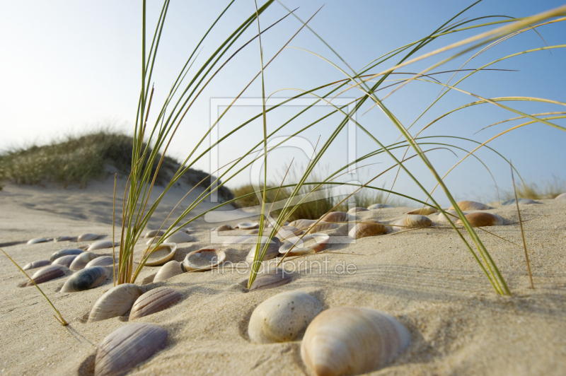 frei w&auml;hlbarer Bildausschnitt f&uuml;r Ihr Bild auf Tischdecke