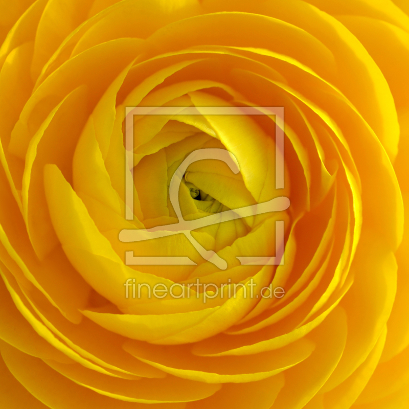 frei w&auml;hlbarer Bildausschnitt f&uuml;r Ihr Bild auf Tischdecke