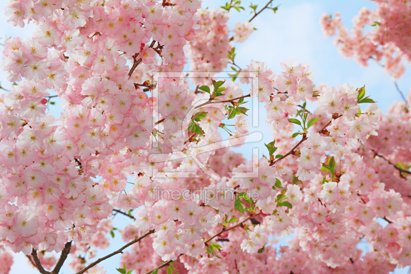 frei w&auml;hlbarer Bildausschnitt f&uuml;r Ihr Bild auf Tischdecke