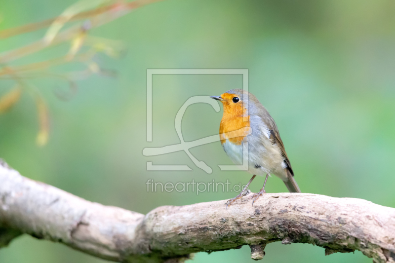 frei w&auml;hlbarer Bildausschnitt f&uuml;r Ihr Bild auf Tischdecke