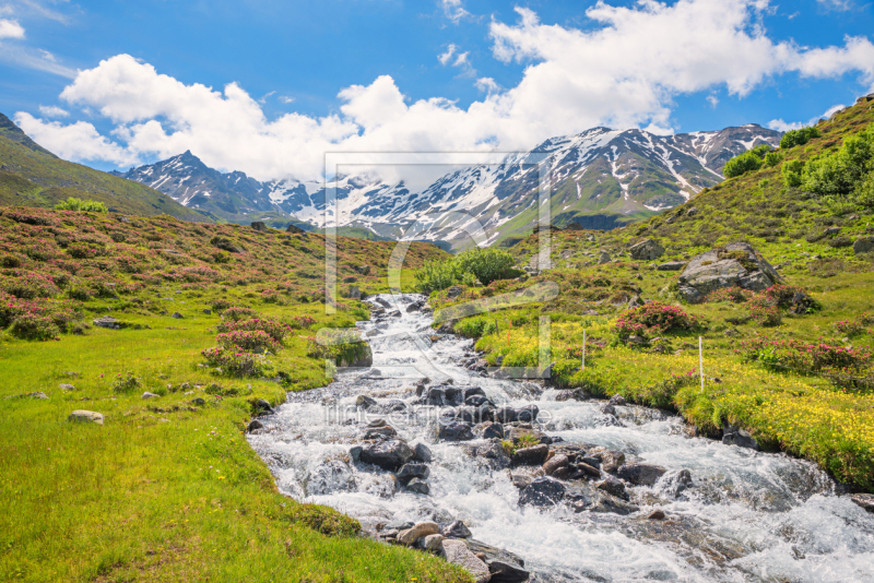 frei w&auml;hlbarer Bildausschnitt f&uuml;r Ihr Bild auf Tischdecke