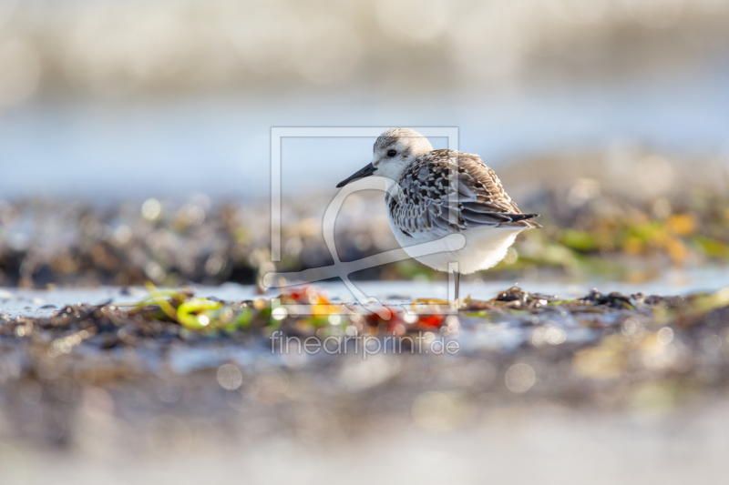 frei w&auml;hlbarer Bildausschnitt f&uuml;r Ihr Bild auf Tischdecke
