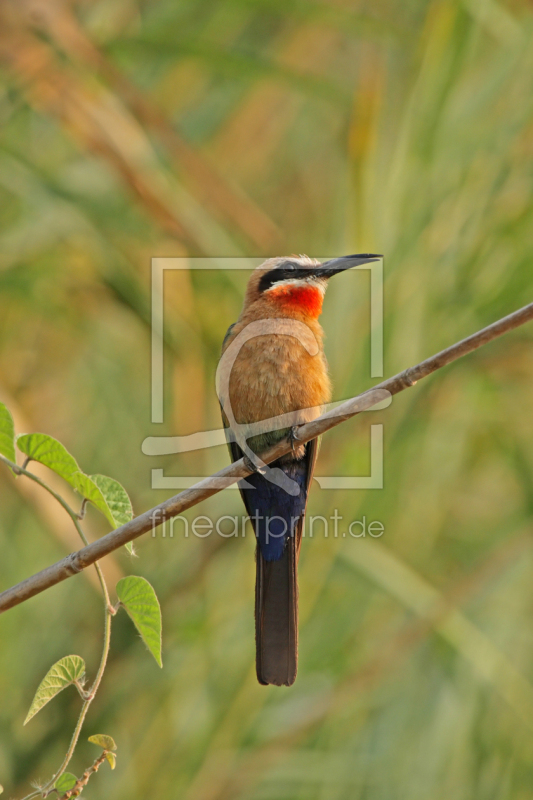 frei w&auml;hlbarer Bildausschnitt f&uuml;r Ihr Bild auf Tischdecke