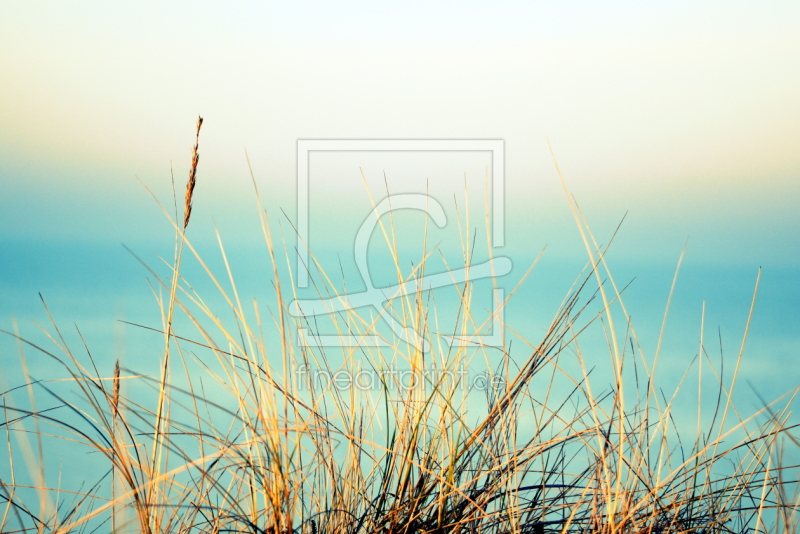 frei w&auml;hlbarer Bildausschnitt f&uuml;r Ihr Bild auf Tischdecke