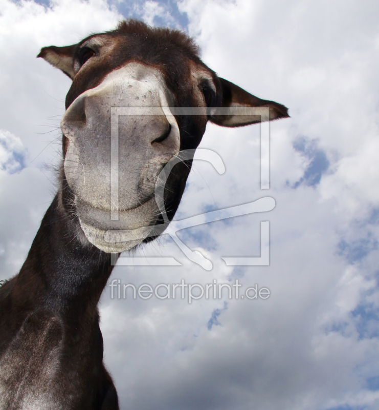 frei w&auml;hlbarer Bildausschnitt f&uuml;r Ihr Bild auf Tischdecke