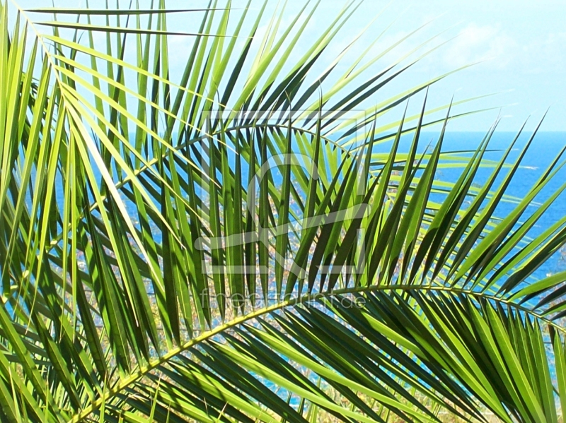 frei wählbarer Bildausschnitt für Ihr Bild auf Türfolie