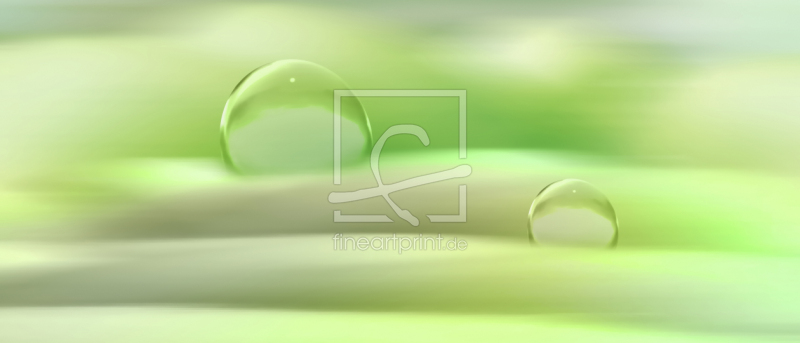 frei wählbarer Bildausschnitt für Ihr Bild auf Türfolie