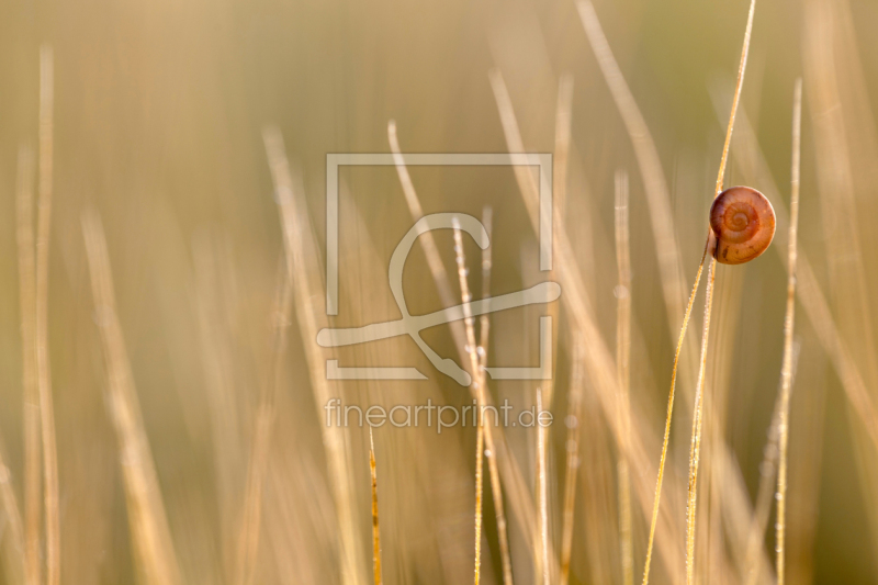 frei wählbarer Bildausschnitt für Ihr Bild auf Türfolie