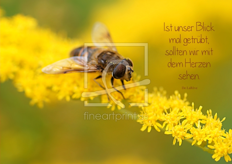 frei wählbarer Bildausschnitt für Ihr Bild auf Türfolie