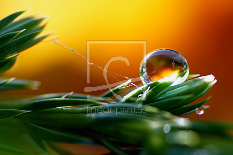 frei wählbarer Bildausschnitt für Ihr Bild auf Türfolie