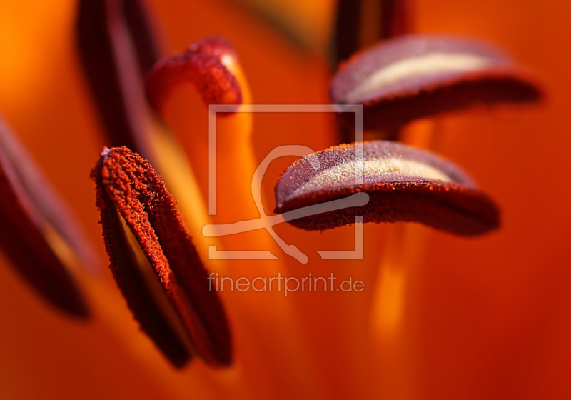 frei wählbarer Bildausschnitt für Ihr Bild auf Türfolie